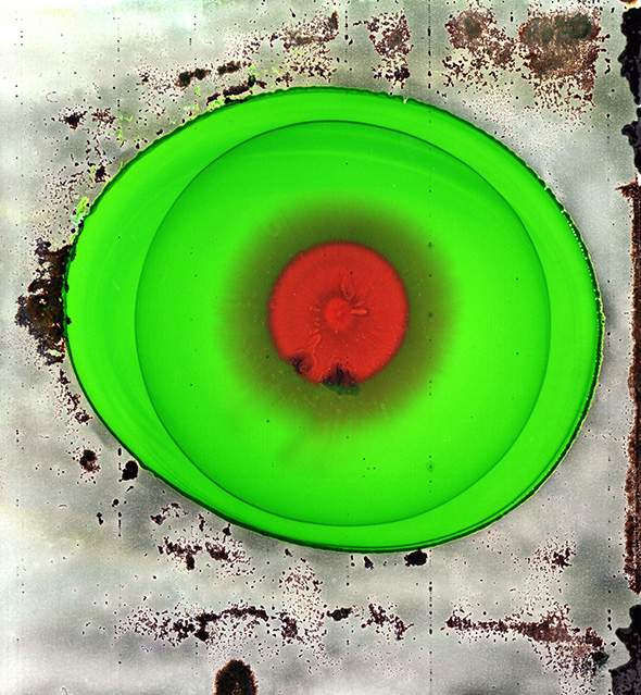 cell2
