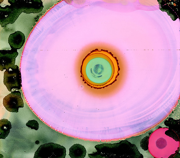 cell1