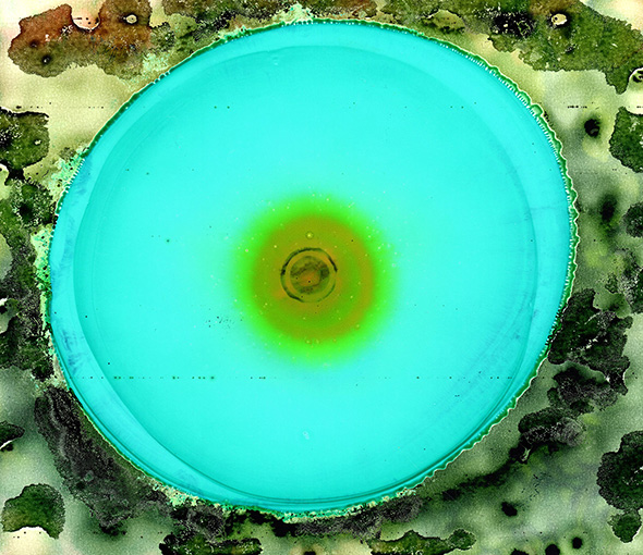 cell3