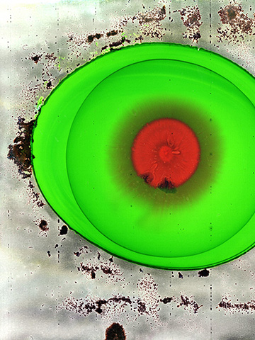dna